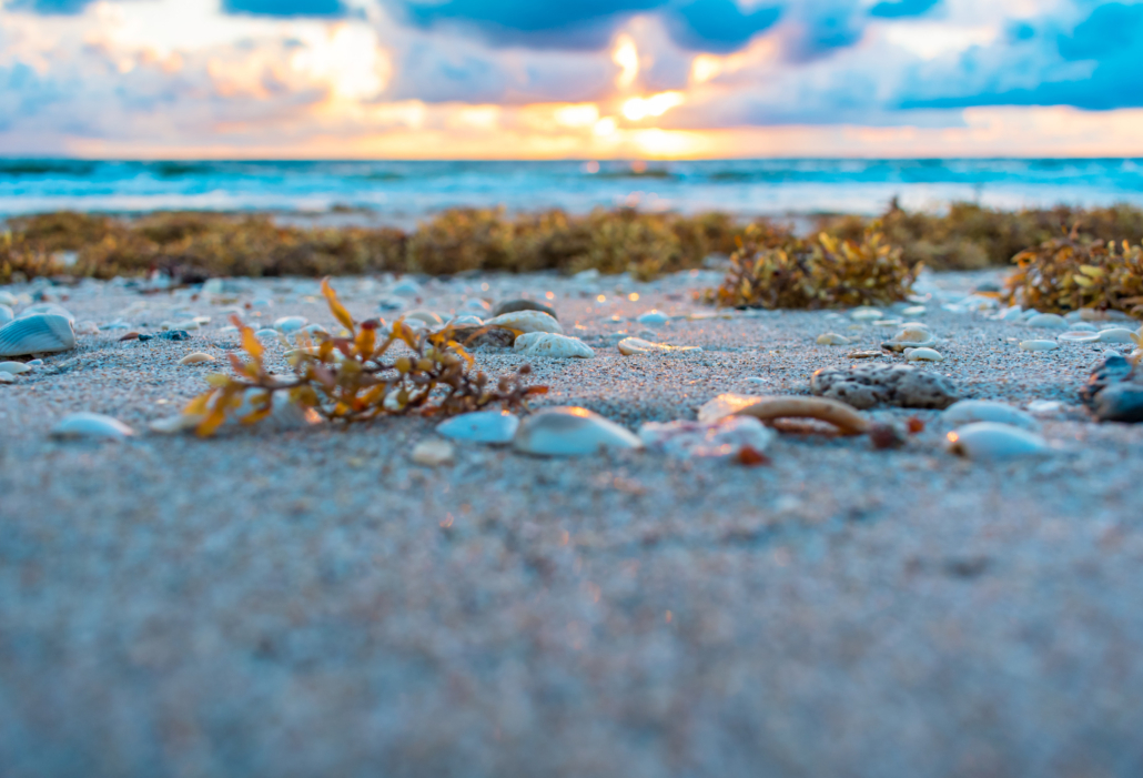 Sanibel Captiva Property Management
